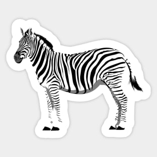 Zebra Sticker